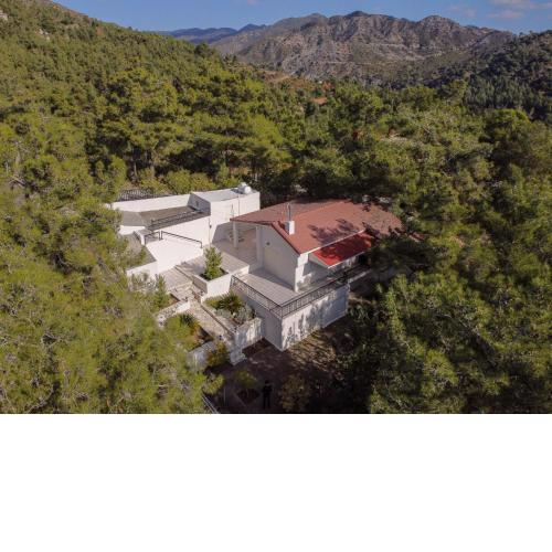 Nestor Hillside House by TrulyCyprus