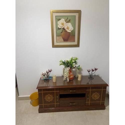 New Cairo cozy furnished