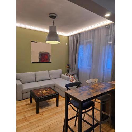 New Premium COZY apartment in the center next to NDK
