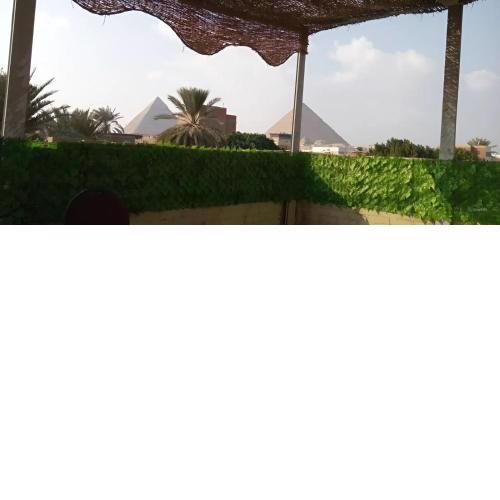 next to the Giza Pyramids