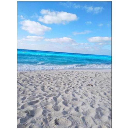 nice apartment near alamine