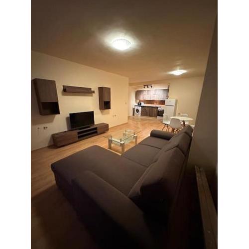 Nice, Spacious and Cozy Apartment