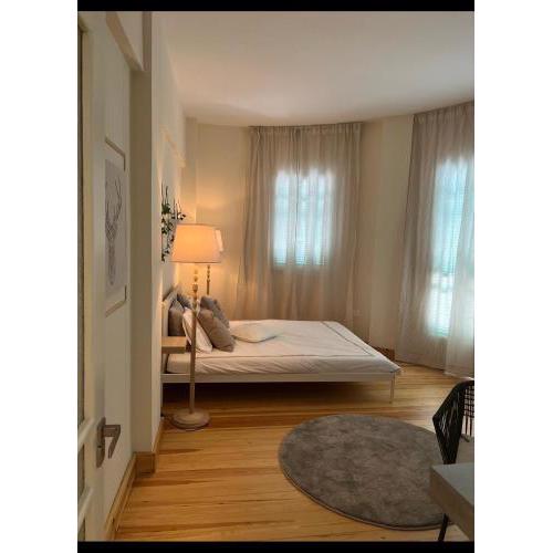 Nicosia City Centre Luxury Renovated Apartment