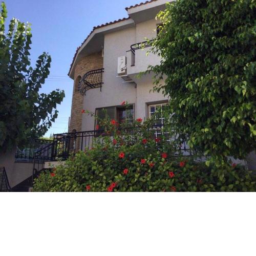 Nikola's House