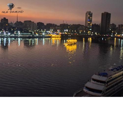 Nile Diamond apartment
