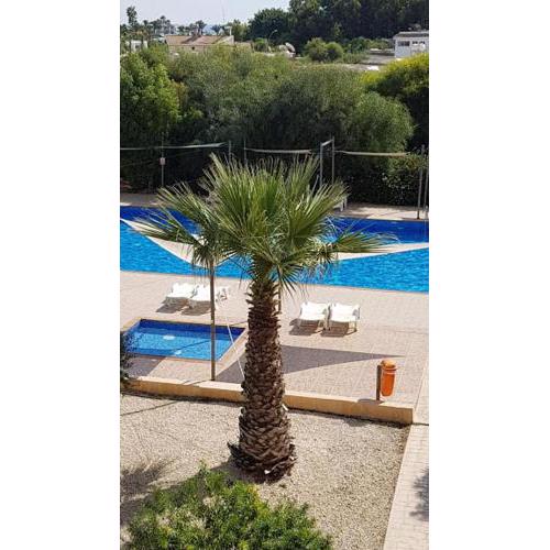 NISSI BEACH POOL VIEW APARTMENT FREE WIFI