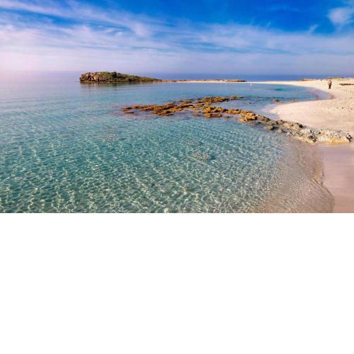 Nissi Golden Sand lovely one bedroom apartment with spacious terrace and free parking