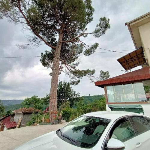 Nizzy House VILLA TAŞ EV