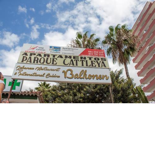 NON Studio Apartment In Parque Cattleya, Playa De Las Americas