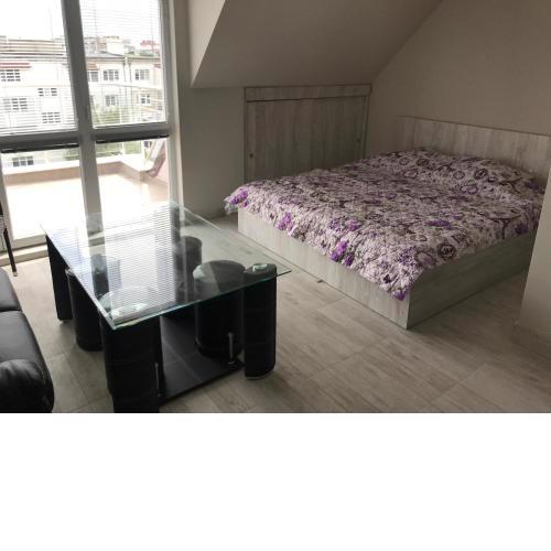 NORTH PARK SUITE
