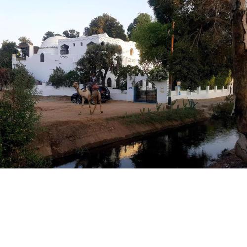 Nubian Holiday House Aswan