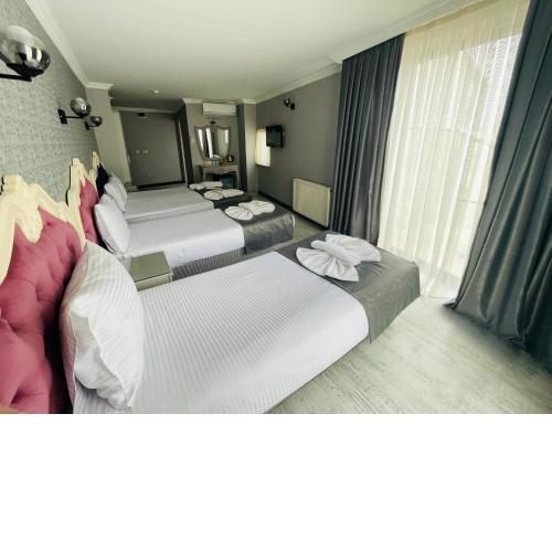 Old City Viva Hotel