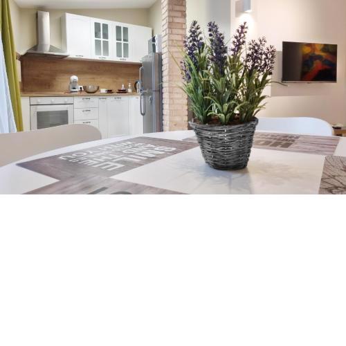 Old Town City Center Apartment