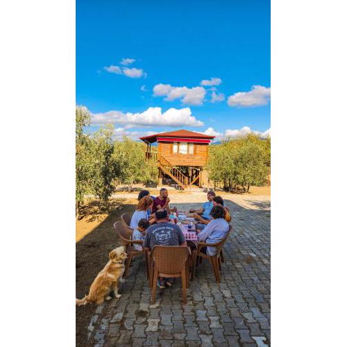 Oli Camping & Bungalows