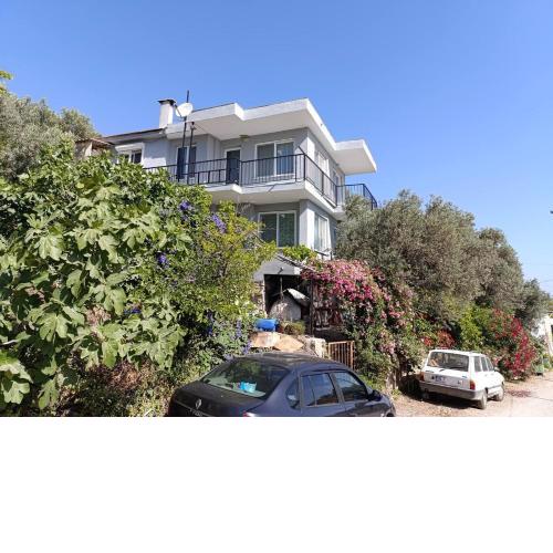 Olive grove mansion - kösedere village