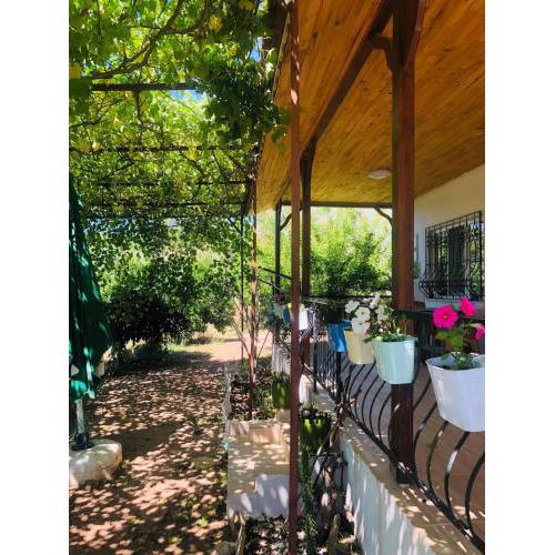 Olympos PoRtakal Village Nature, Sea and You