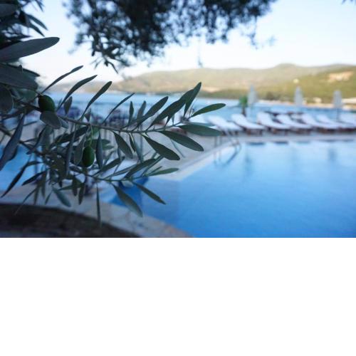 Omar Hotel & Suites