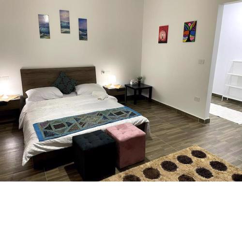 One Bed Room Garden View Apartment