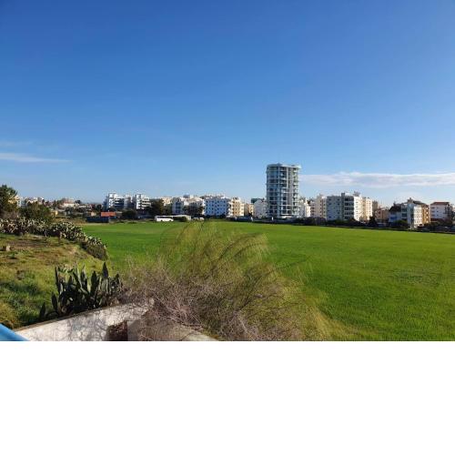 Open Views