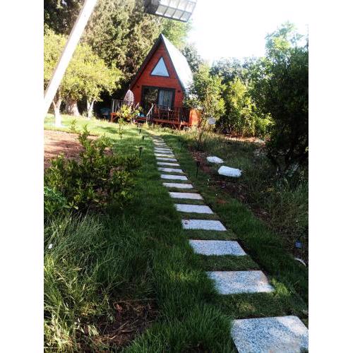 Orange Garden Triangle Homes