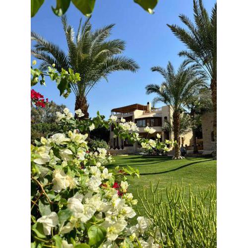 palm shadow resort