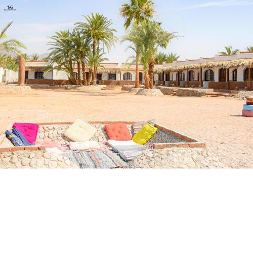 Palm Valley camp