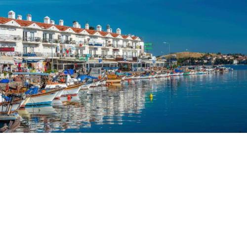 PALMİYE KONUK EVİ