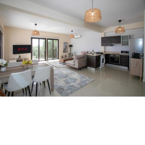 Palmove Tersefanou Apt 201