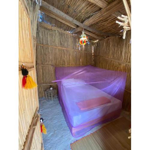 Paloma Camp