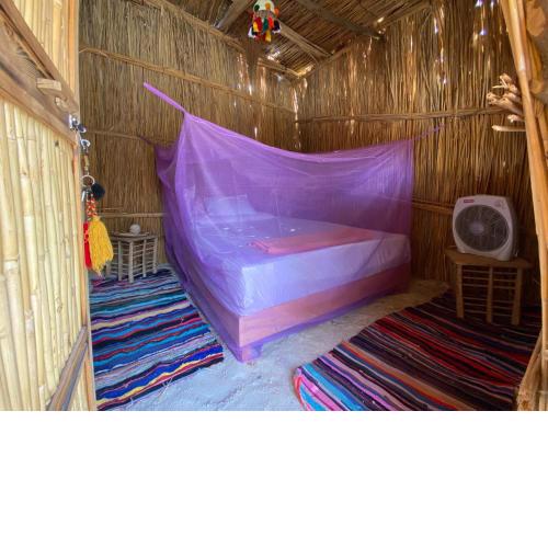 Paloma Camp