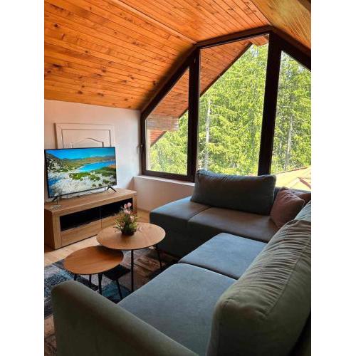Pamporovo Rhodopi Pearl Apartments - Private Apartments