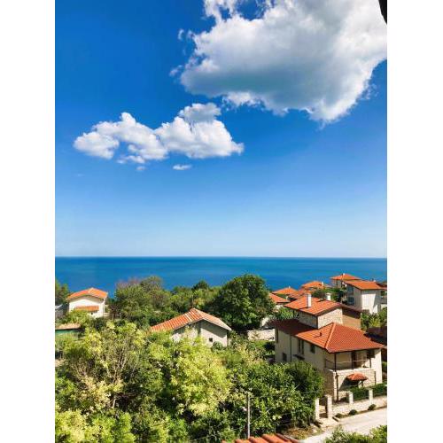 Panorama Pearl