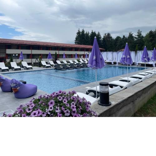Paradise SPA Hotel