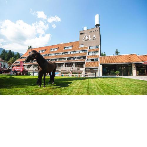 "Park Hotel Ela"