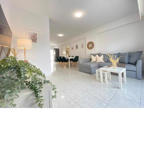 Phaedrus Living Down Town Flat Stephania 302
