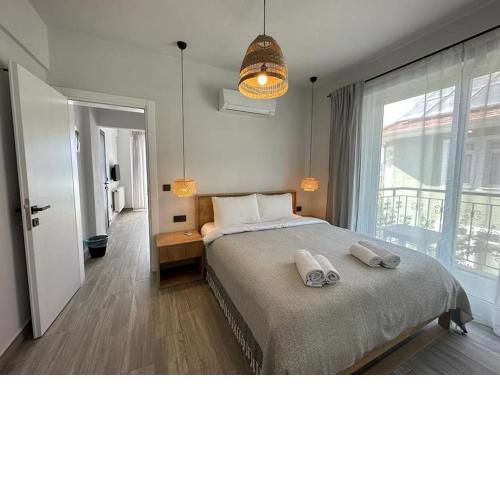 Phedora suite lavanta