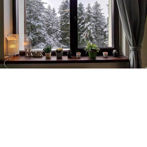 Pine Tree Apartment / Borovets Gardens