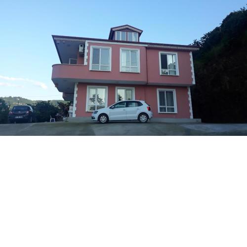 Pink village home