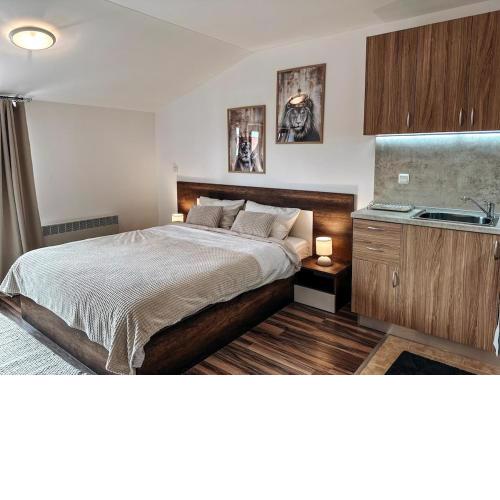 Pirin Apartament
