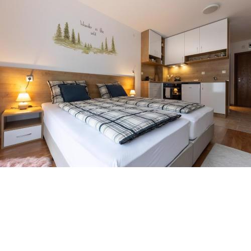 Pirin Sense Modern Studio - SPA - Free parking - Lobby