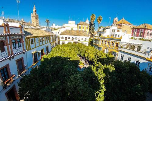 Plaza Elvira Atico- Penthouse Next to Cathedral