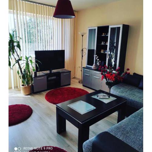 Pleven Sunny Apartment