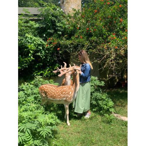 Polonezköy Country Club & Accommodation in the Wildlife Park!