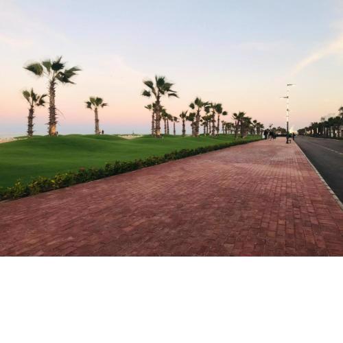 Port Said city, Damietta Port Said coastal road no2429