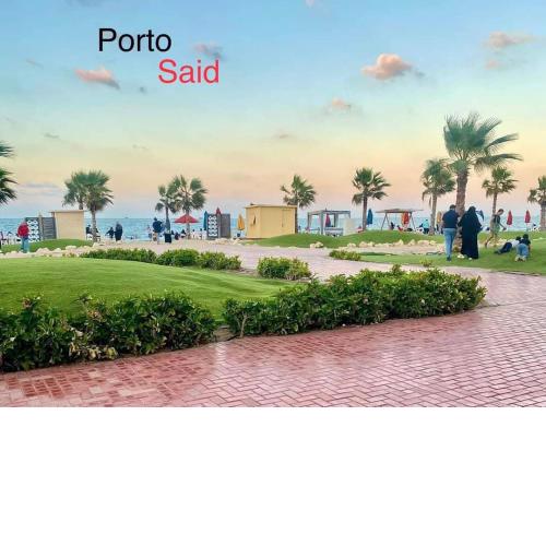 Port Said city, Damietta Port Said coastal road num2995