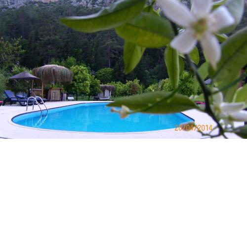 Portalimo Lodge Hotel - Adult Only +12