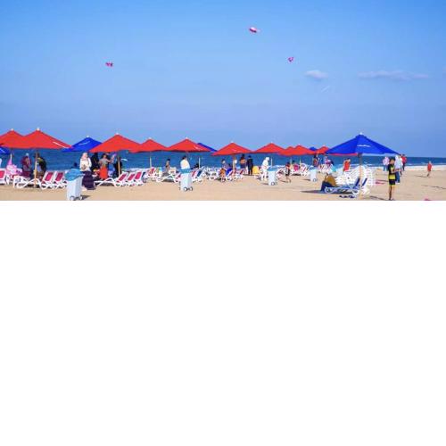 Porto Saeed rentals 1