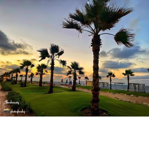 منتجع بورتو سعيد السياحى Porto said Tourist Resort