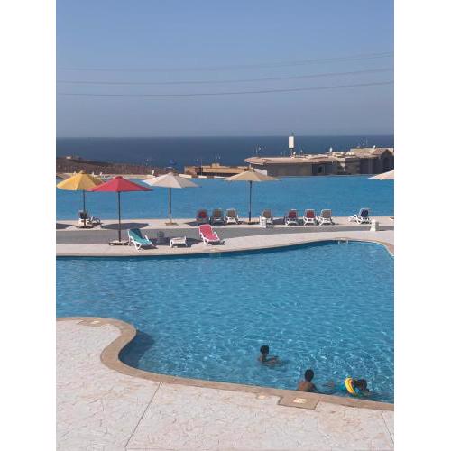 Porto Sokhna Island 2 families only