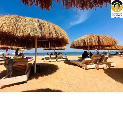 Princess Resort 354